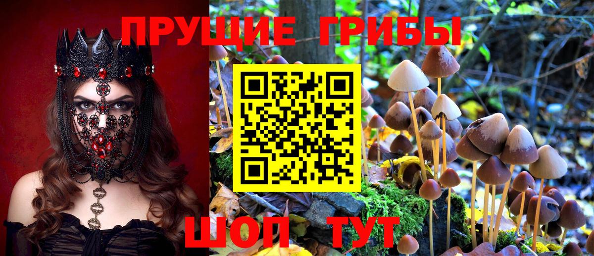 Псилоцибиновые грибы ЛСД  Вход с VPN  Галлюциногенные грибы GOLDEN TEACHER  Малгобек 